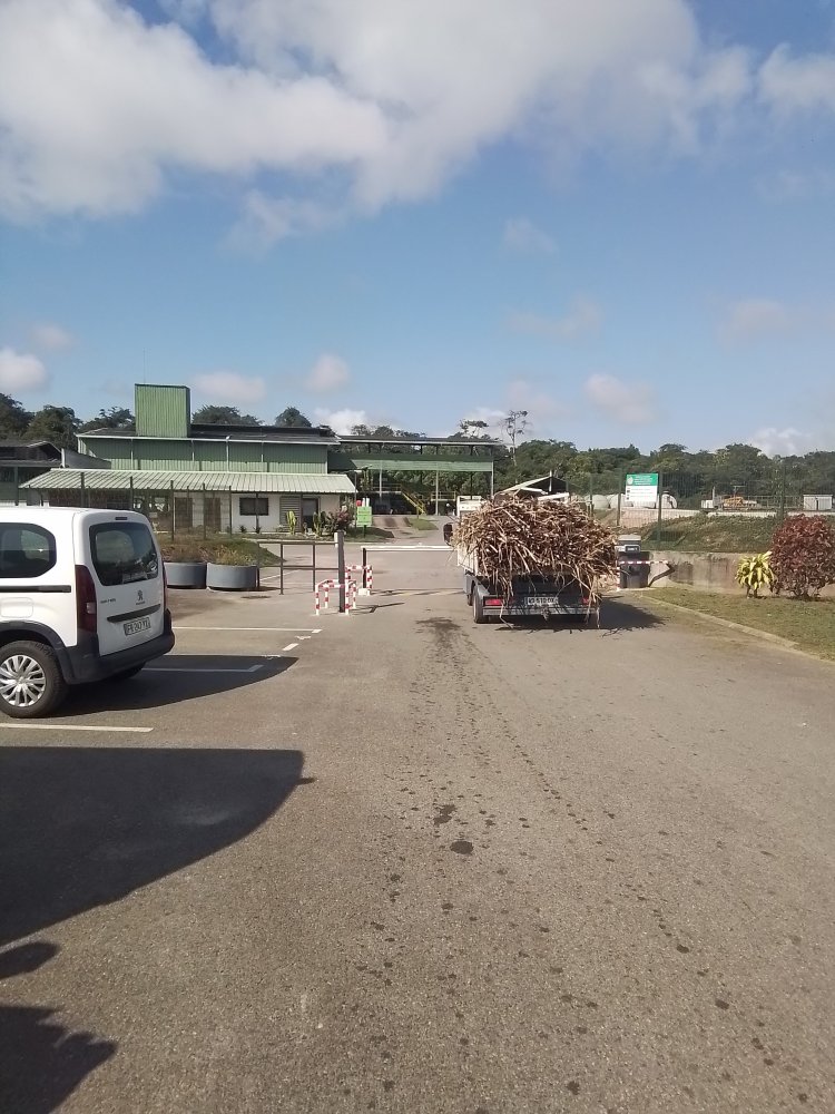 Une immersion au cœur de la Rhumerie Saint-Maurice