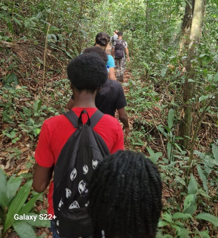 Découverte de la richesse naturelle Guyanaise avec les stagiaires